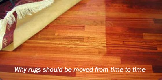 Faqs Hardwood Floors, Hardwood Floor Discoloration Under Rug