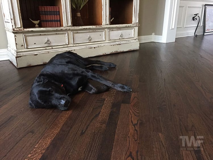 Dark Stained Oak Floor