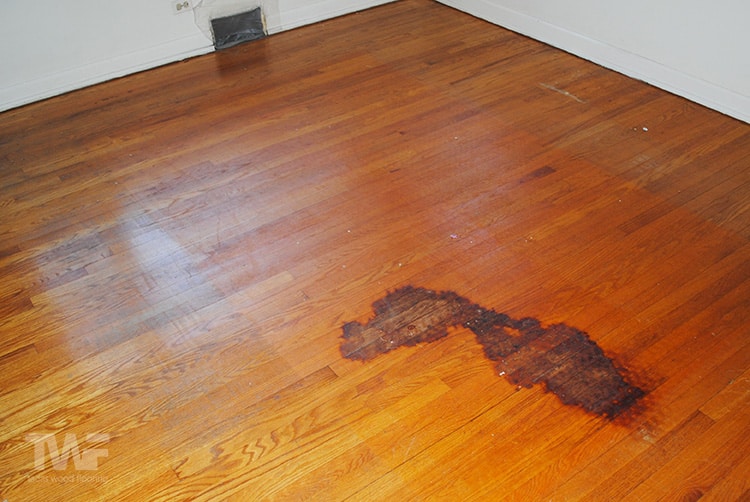 Buff And Recoat Hardwood Floors, Refinish Hardwood Floors Pet Urine Stains