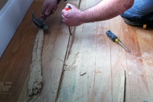 Powder Post Beetles on Wood Floors