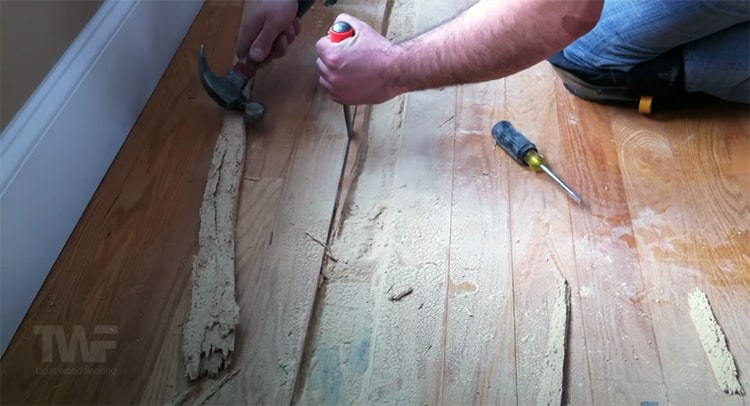 Powder Post Beetle Hardwood Floor Damage, Small Holes In Hardwood Floor