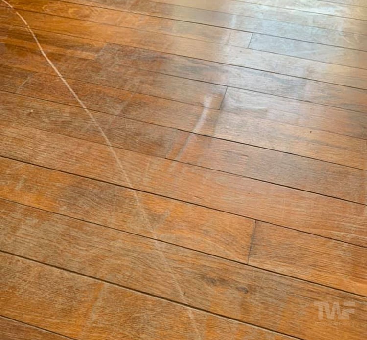 Scratched Hardwood Floor