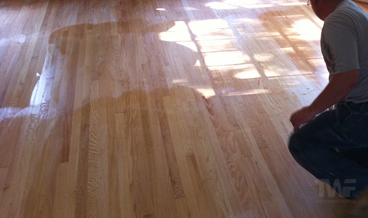 What Is Water Popping, Hardwood Floor Popping Repair
