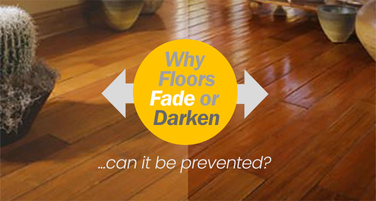Sunlight Uv And Fading Hardwood Floors, Waxed Hardwood Floors Versus Polyurethane