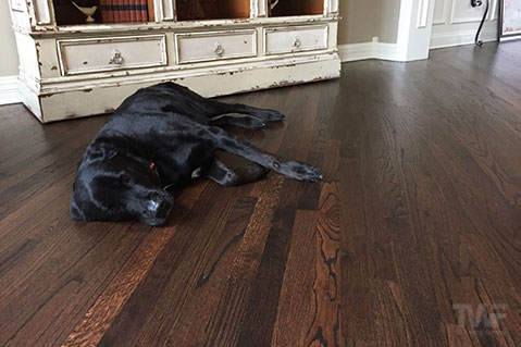 Dark Stained Oak Hardwood Floor